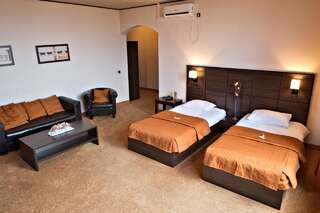 Отель Hotel Aurelia Тимишоара Двухместный номер с 2 отдельными кроватями и дополнительной кроватью-2